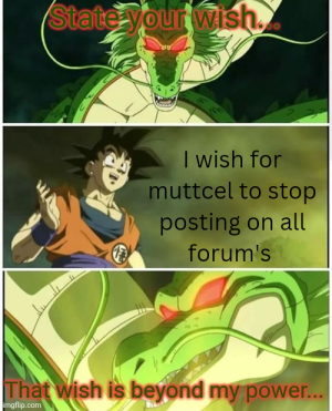 I wish for muttcel to stop posting on all forum's_20240915_183021_0000.png