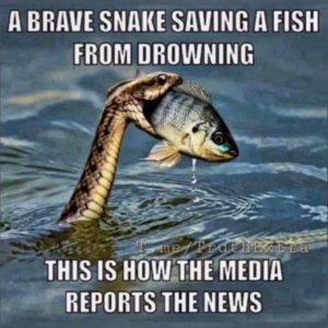 MSM be like