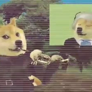 ripsave - Gonna post again because the other doge sub died.mp4