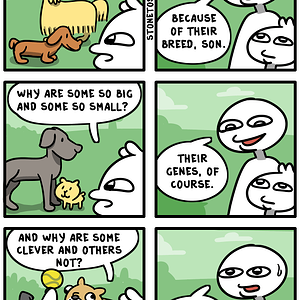 dog-breed-intelligence-comic.png