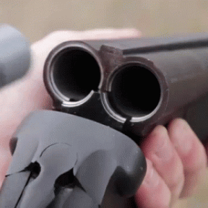 gun-db-shotgun (1).gif