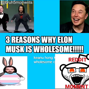 elon.mp4