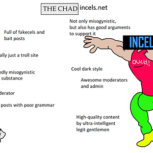 incels.co_vs_incels.net (1).png