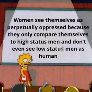 lisa meme simpsons antifeminism.jpg