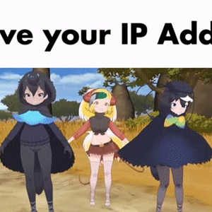 ip-address-meme-kemono-friends.mp4