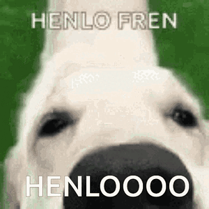 doggo-henlo-fren.gif