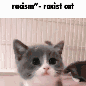 racist.gif