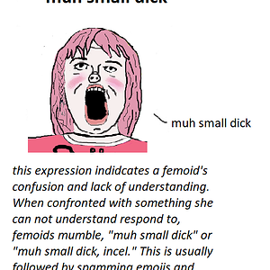 muh20small20dick.png