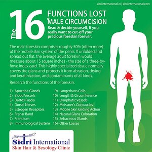 16-functions-lost-to-male-circumcision-8.jpg