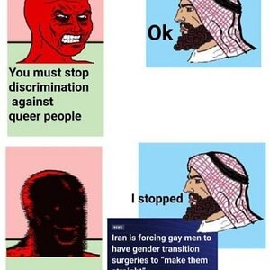 7874 - arab arabs compass gay gay_men iran lgby men political political_compass querr text wojak.jpg