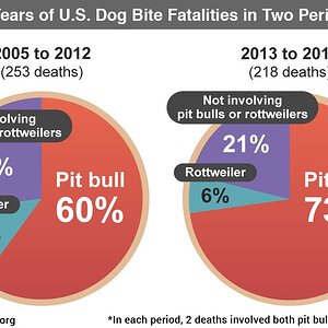 2-period-14-years-dog-bite-fatalities-2005-2018@x2.jpg