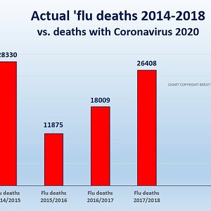 corona_flu_120420.jpg