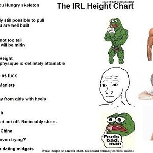 none-of-that-trolling-bullshit-the-irl-height-chart-thank-51737811.jpg