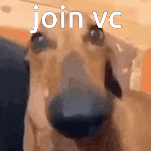 join-vc-dog.mp4