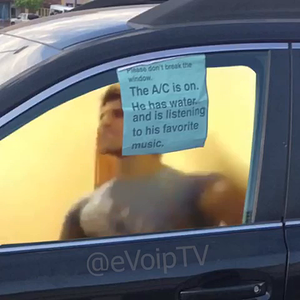 zyzz_car.mov