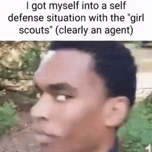 scout.mp4