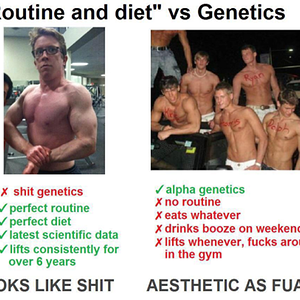 gymcel_routine_vs_diet.png