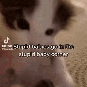 stupid-baby-stupid-baby-corner.mp4