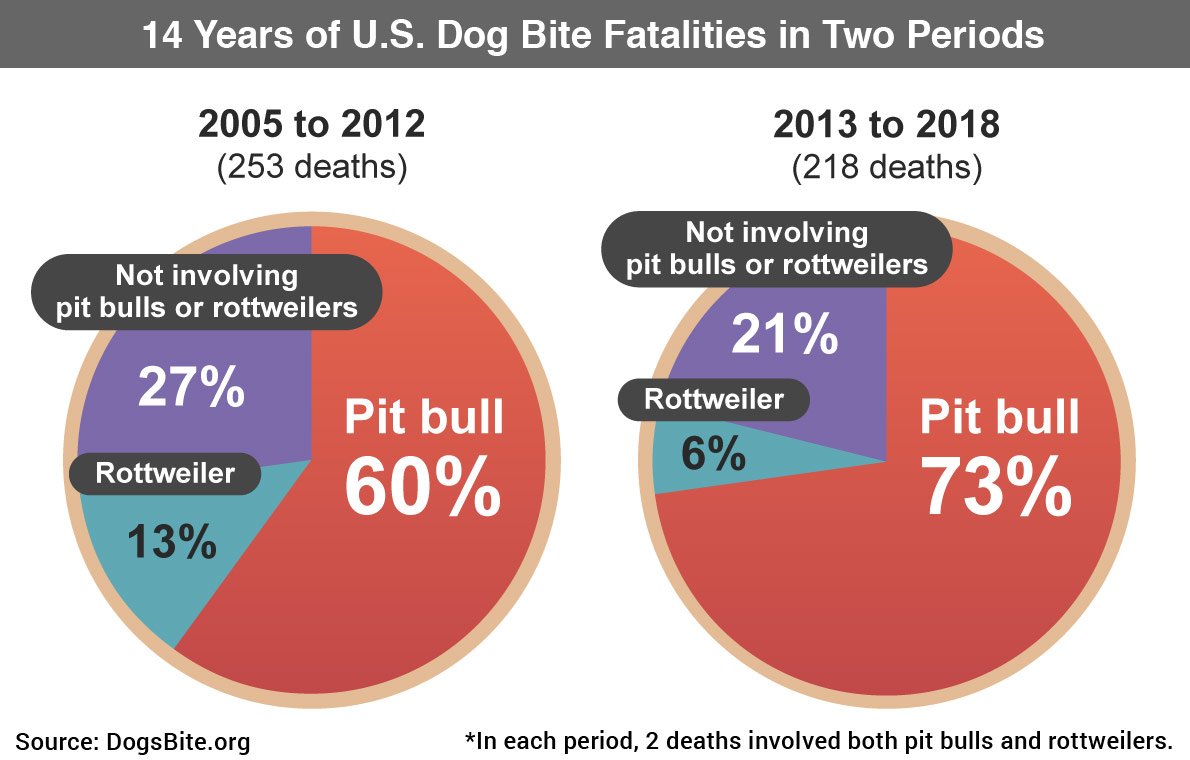 2-period-14-years-dog-bite-fatalities-2005-2018@x2.jpg