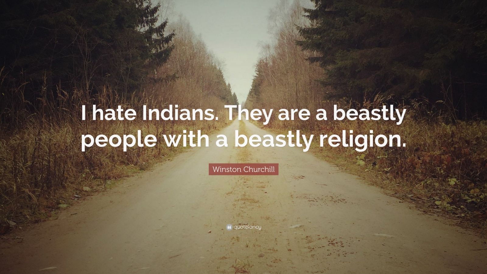 494559-Winston-Churchill-Quote-I-hate-Indians-They-are-a-beastly-people.jpg