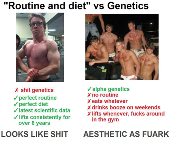 gymcel_routine_vs_diet.png