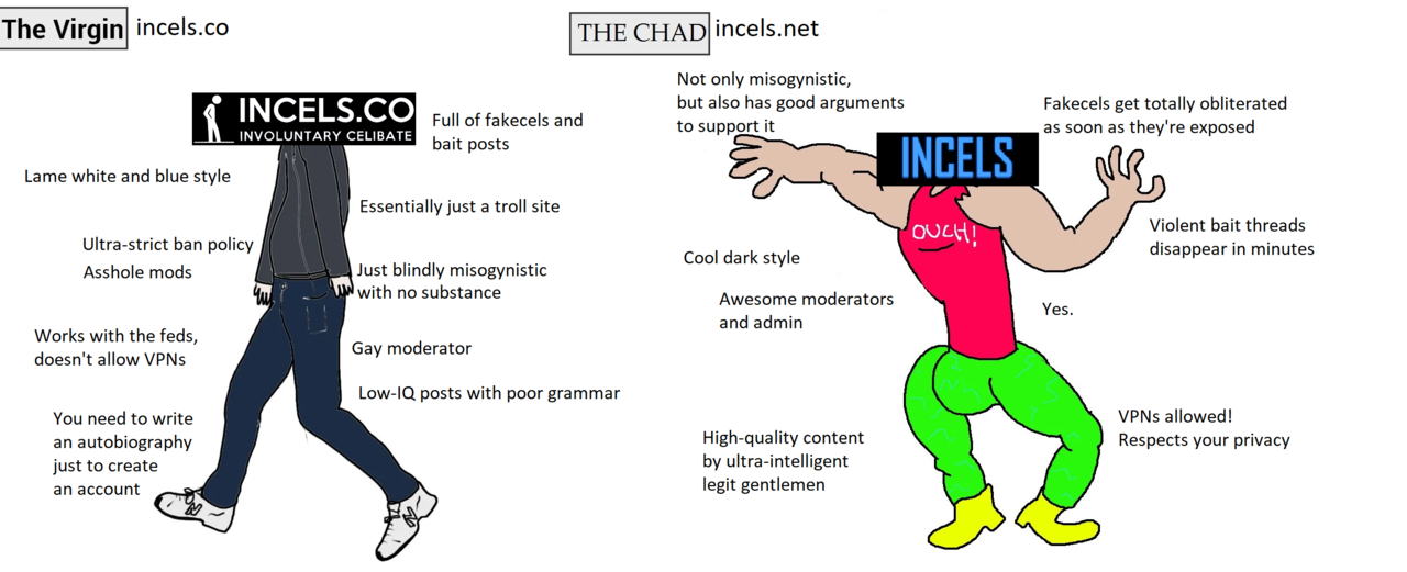 incels.co_vs_incels.net (1).png