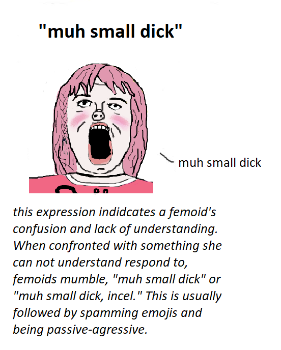 muh20small20dick.png