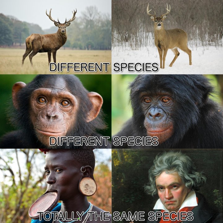 Species....jpg